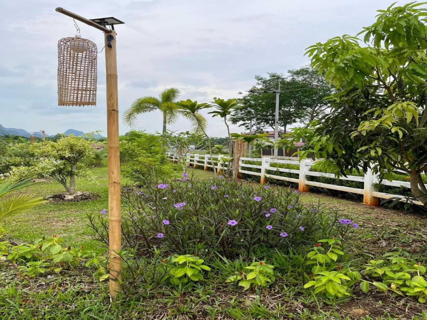 Capital O 75518 Baan Rose Resort Ao Luk Eksteriør billede